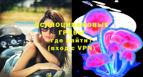 гидра Алексин