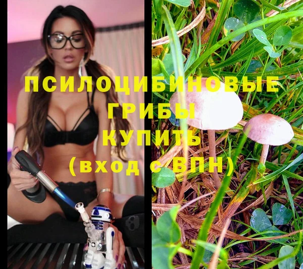 кокс Абаза
