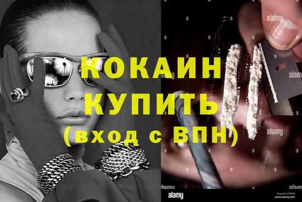 дурь Алзамай