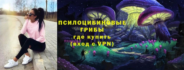 гидра Алексин