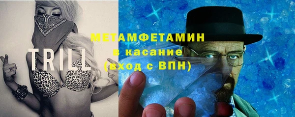 гидра Алексин