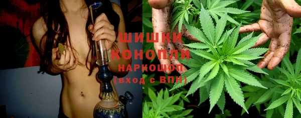 дурь Алзамай