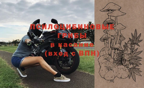 гидра Алексин