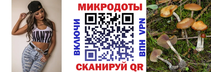 Галлюциногенные грибы Magic Shrooms Ржев