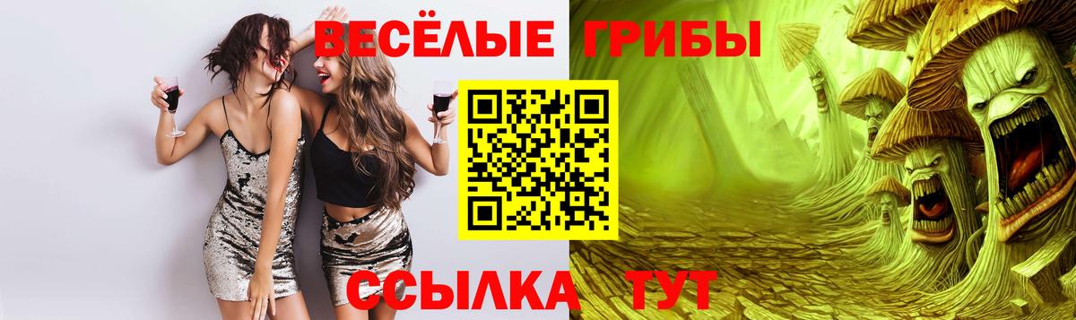 Галлюциногенные грибы прущие грибы Ржев