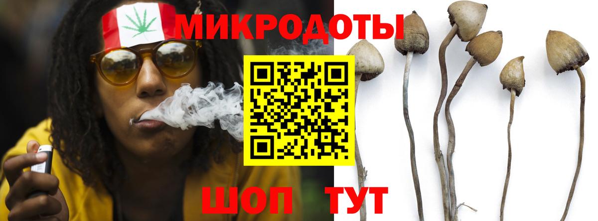 Ржев  Галлюциногенные грибы ЛСД  Вход с VPN 